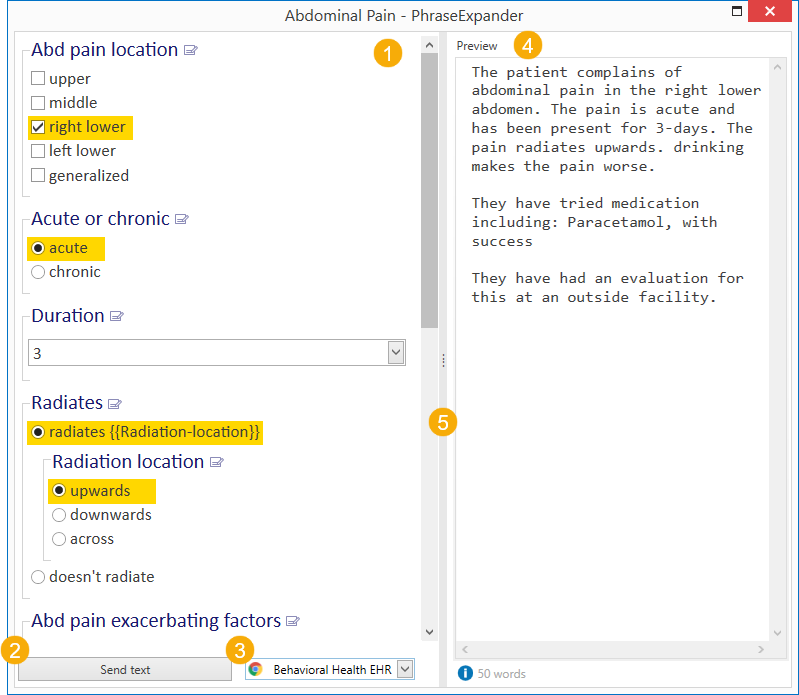 The input form displays the fill-in variables and the final result, on the right, in the preview pane.